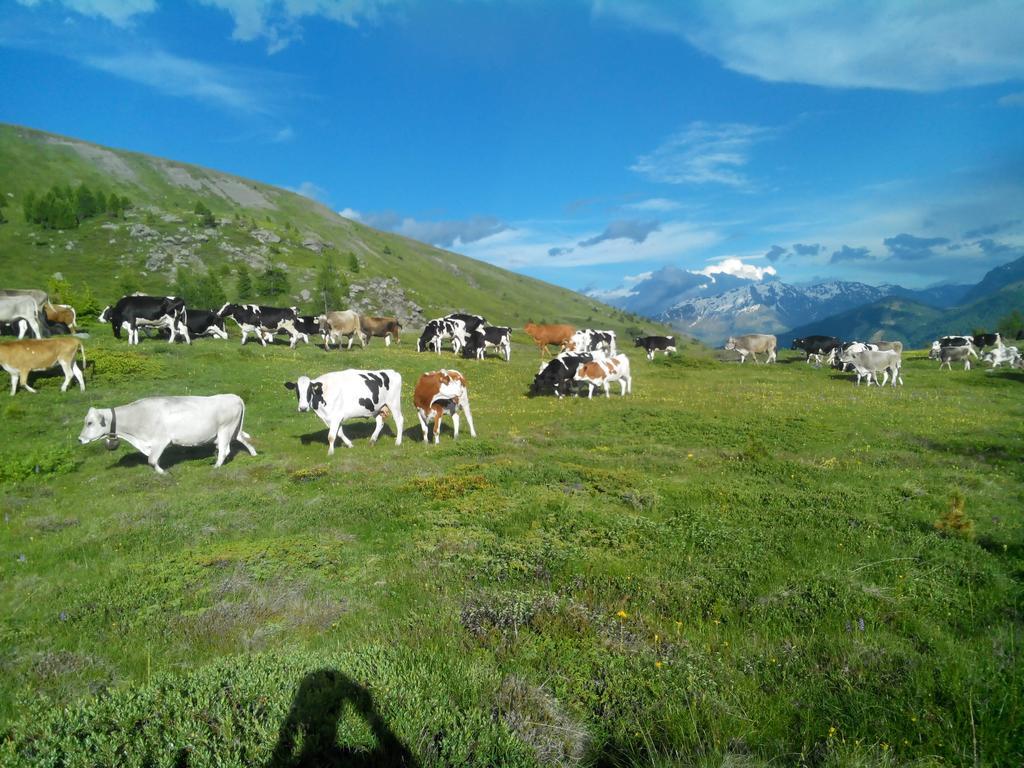 Agriturismo Raethia Isolaccia Εξωτερικό φωτογραφία