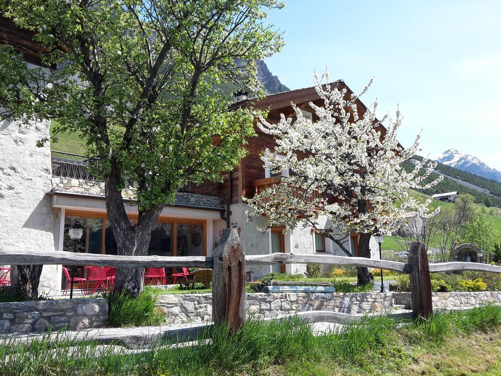 Agriturismo Raethia Isolaccia Εξωτερικό φωτογραφία