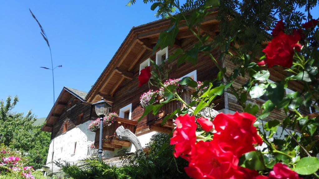 Agriturismo Raethia Isolaccia Εξωτερικό φωτογραφία